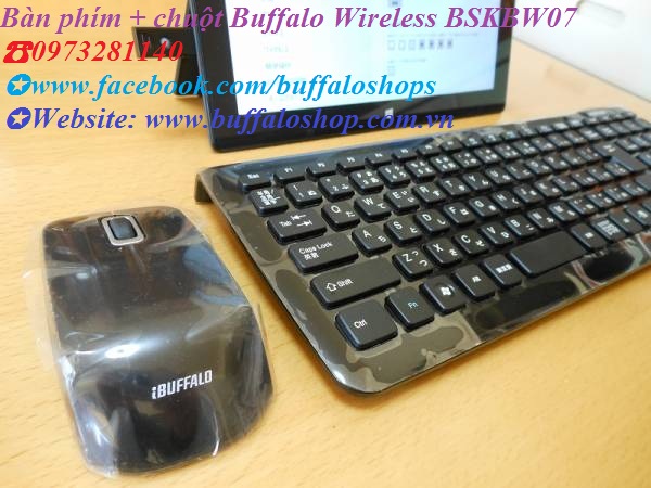 BUFFALO SHOP Chuyên cung cấp các sản phẩm Buffalo hàng Nhật chính hãng 21